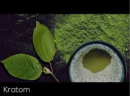 What is Kratom