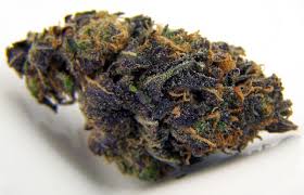 BlackBerry Kush Marijuana Strain