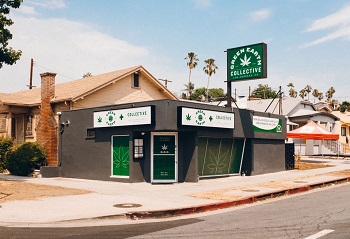 Green Earth Collective Los Angeles