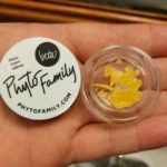 PhytoFamily CBD Honey