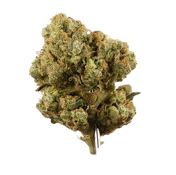 Sour Diesel Weed