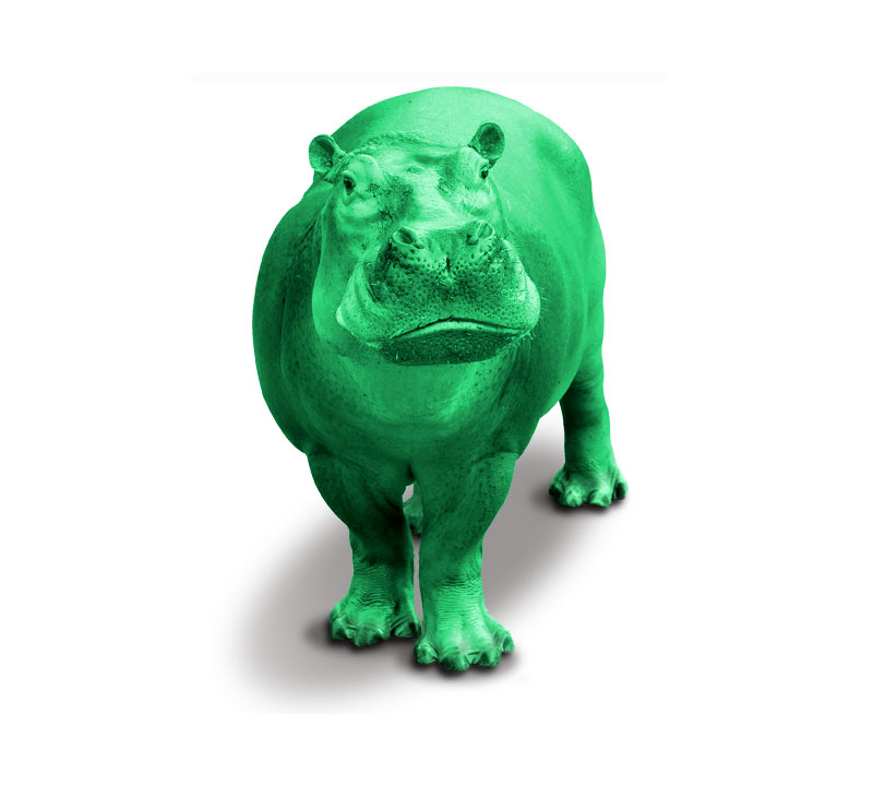 Green Hippo Kratom